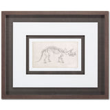 Custom Dinosaur Study II (MC) by Harper, Ethan a Framed Art Print Matted under Glass from Mercana - Luna Furniture