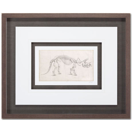 Custom Dinosaur Study II (MC) by Harper, Ethan a Framed Art Print Matted under Glass from Mercana - Luna Furniture