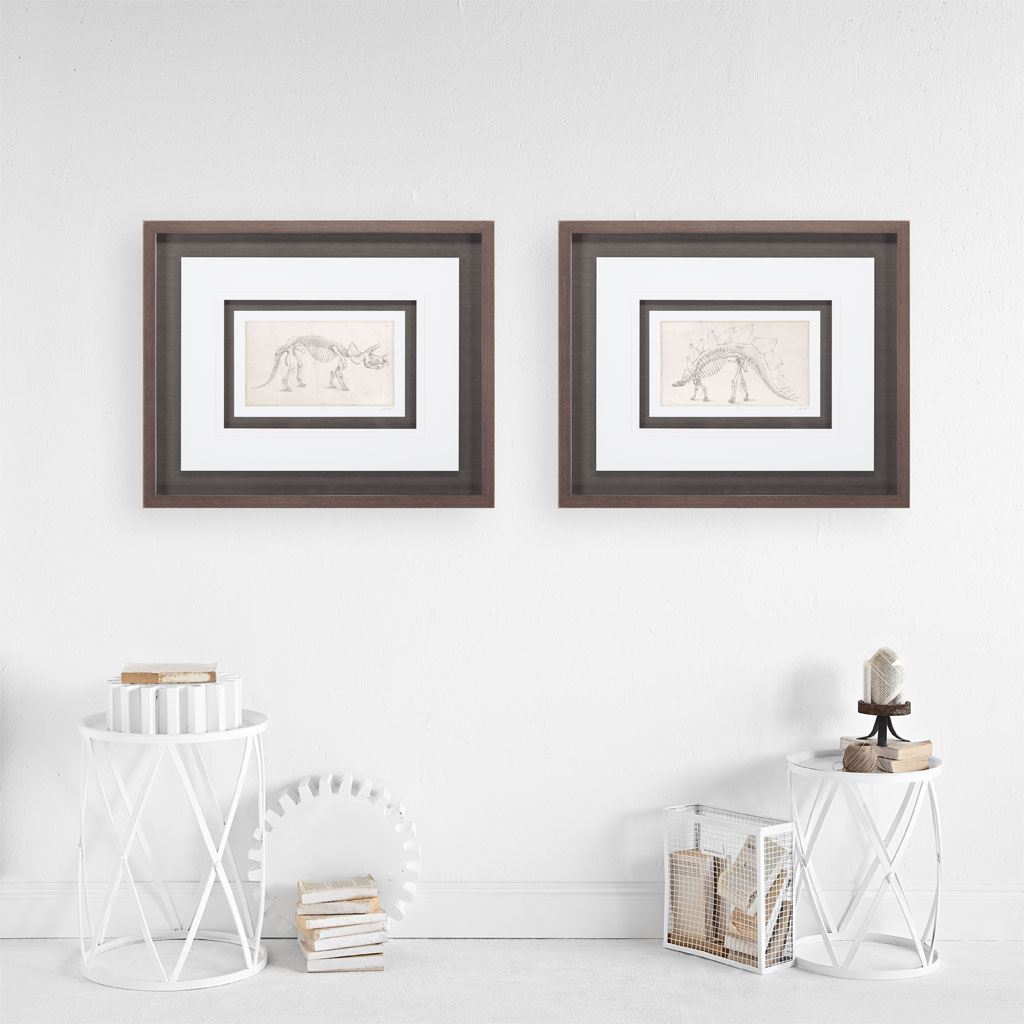 Custom Dinosaur Study II (MC) by Harper, Ethan a Framed Art Print Matted under Glass from Mercana - Luna Furniture