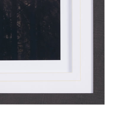 Woodland Glow by Andreas Stridsberg a Hand Embelished Textured Framed Art Photo Matted under Glass from Mercana - Luna Furniture