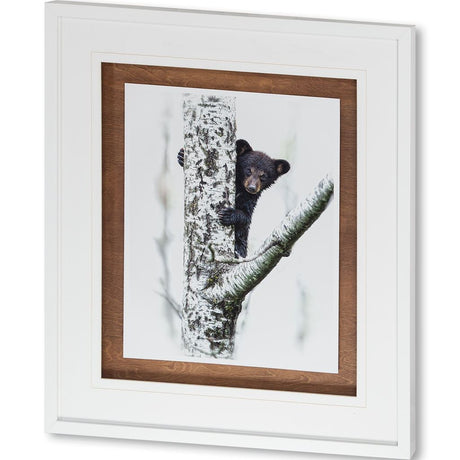 Bears at Play V by PHBurchett a Framed Photo Art Print Matted under Glass from Mercana - Luna Furniture