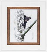 Bears at Play V by PHBurchett a Framed Photo Art Print Matted under Glass from Mercana - Luna Furniture