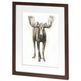 Majestic Wildlife I by Grace Popp a Framed Art Print Matted under Glass from Mercana - Luna Furniture