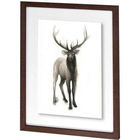 Majestic Wildlife II by Grace Popp a Framed Art Print Matted under Glass from Mercana - Luna Furniture