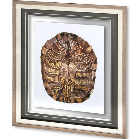 Tortoise Shell Detail I by Naomi McCavitt a Framed Art Print Matted under Glass from Mercana - Luna Furniture