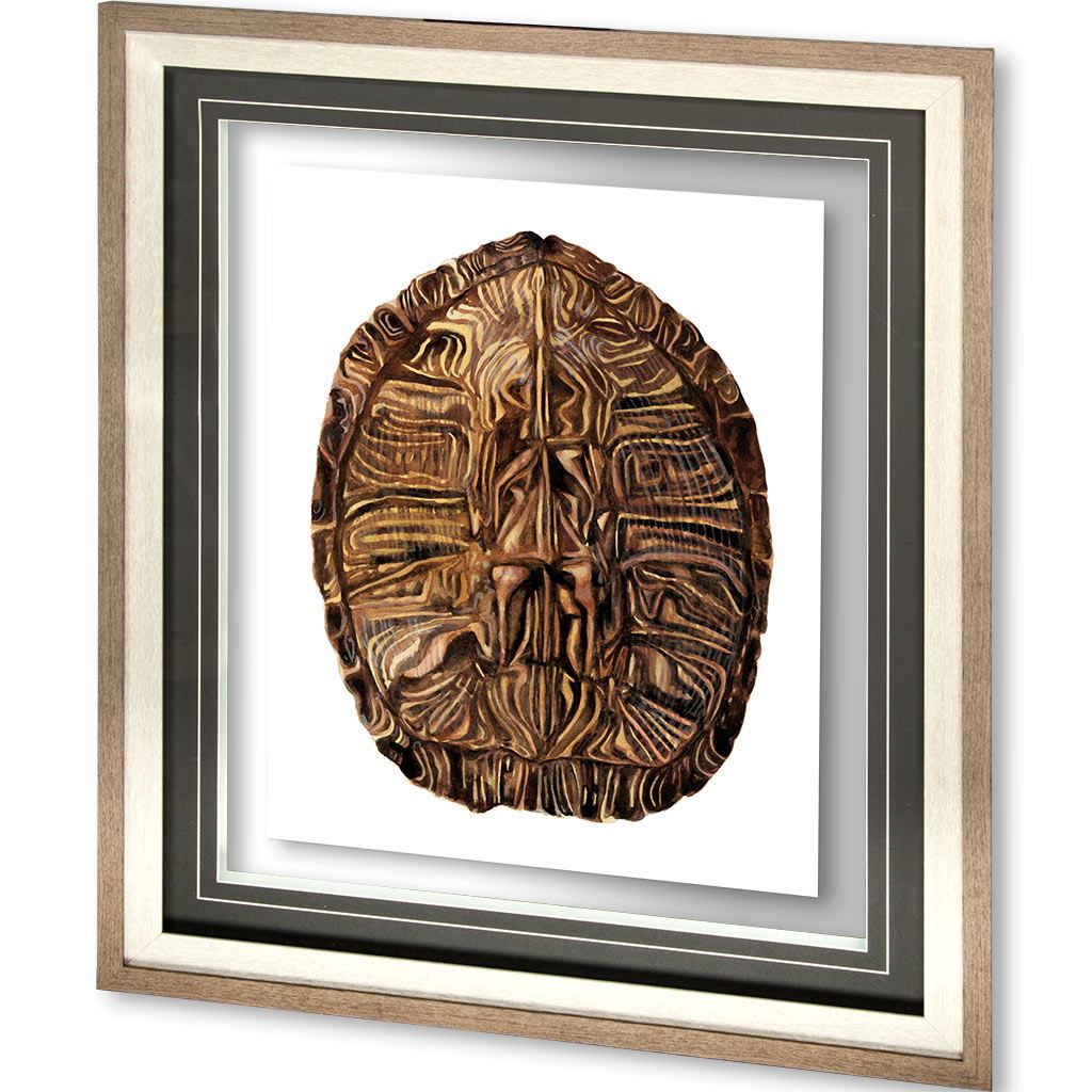 Tortoise Shell Detail II by Naomi McCavitt a Framed Art Print Matted under Glass from Mercana - Luna Furniture