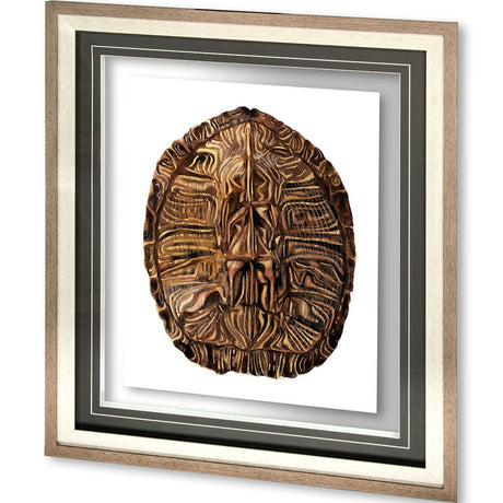 Tortoise Shell Detail II by Naomi McCavitt a Framed Art Print Matted under Glass from Mercana - Luna Furniture