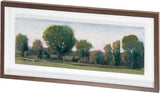 Panoramic Treeline II by Tim OToole a Framed Art Print Matted under Glass from Mercana - Luna Furniture