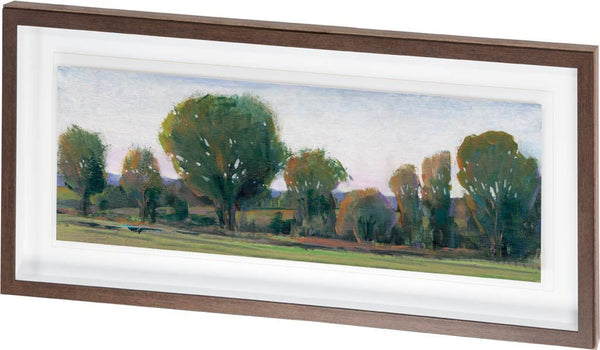 Panoramic Treeline II by Tim OToole a Framed Art Print Matted under Glass