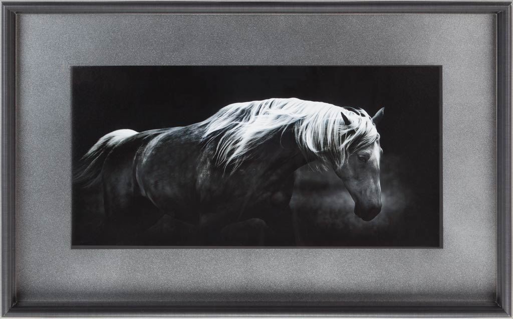 Bonnie Portrait by PHBurchett a Framed Photo Art Print Matted under Glass from Mercana - Luna Furniture