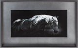 Bonnie Portrait by PHBurchett a Framed Photo Art Print Matted under Glass from Mercana - Luna Furniture