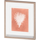 Sealife on Coral II by Vision Studio a Hand Embellished Textured Framed Art Print Matted under Glass from Mercana - Luna Furniture