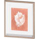 Sealife on Coral VI by Vision Studio a Hand Embellished Textured Framed Art Print Matted under Glass from Mercana - Luna Furniture
