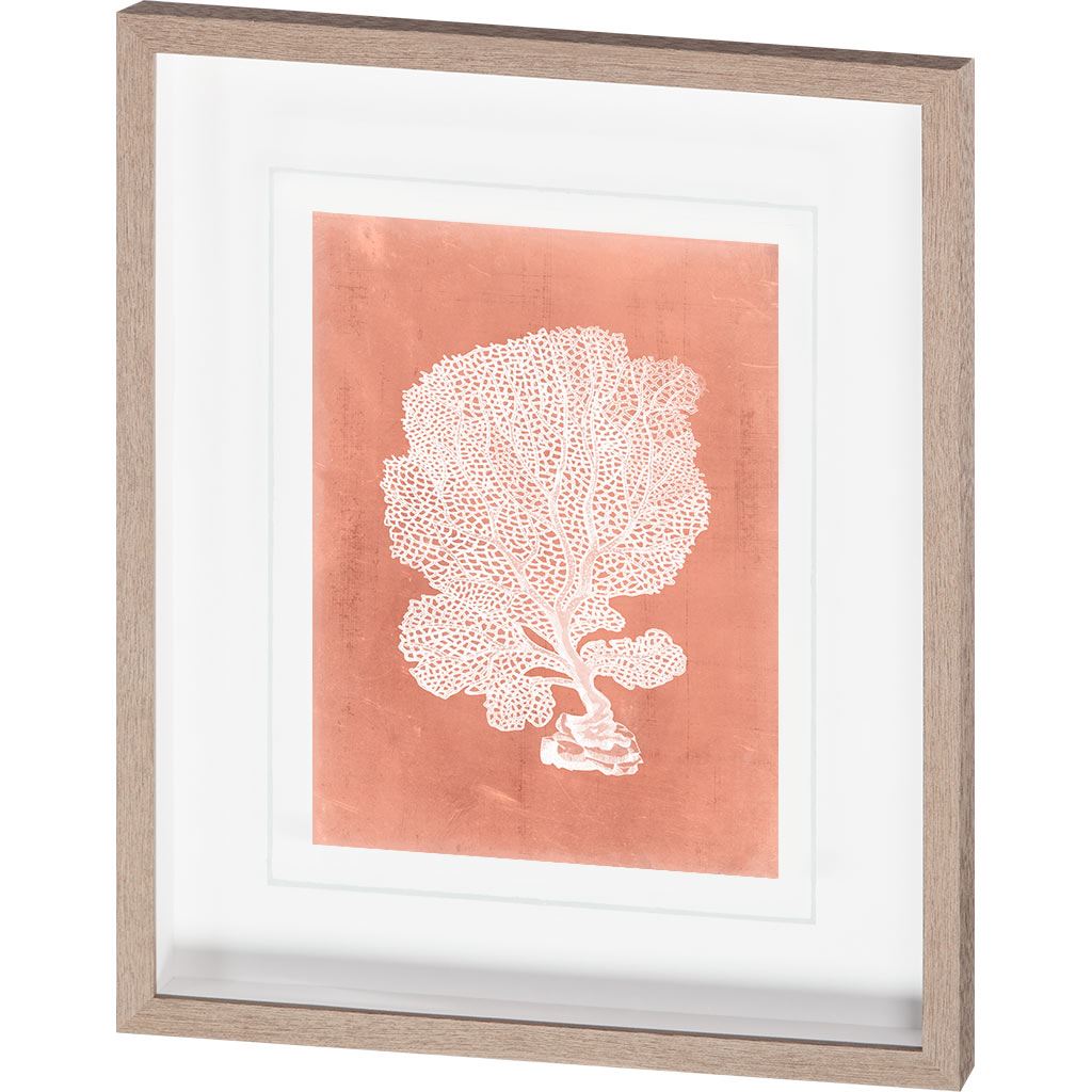 Sealife on Coral VIII by Vision Studio Hand Embellished Textured Framed Art Print Matted under Glass from Mercana - Luna Furniture