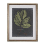 Foliage Dramatique III by Vision Studio Hand Embellished Textured Framed Art Print Matted under Glas from Mercana - Luna Furniture