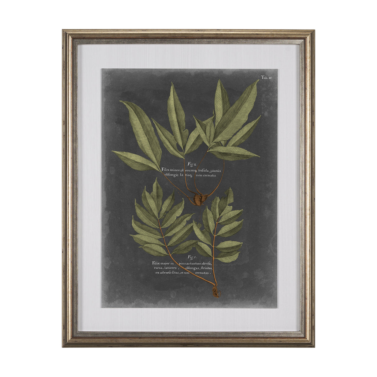 Foliage Dramatique IV by Vision Studio Hand Embellished Textured Framed Art Print Matted under Glass from Mercana - Luna Furniture