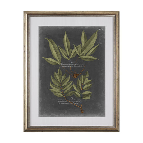Foliage Dramatique IV by Vision Studio Hand Embellished Textured Framed Art Print Matted under Glass from Mercana - Luna Furniture