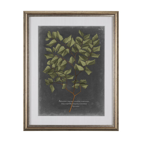 Foliage Dramatique V by Vision Studio Hand Embellished Textured Framed Art Print Matted under Glass from Mercana - Luna Furniture