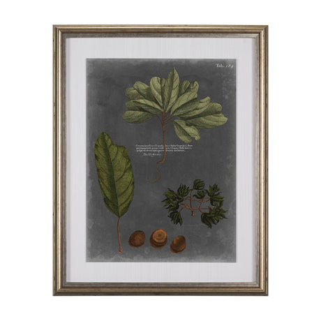 Foliage Dramatique VI by Vision Studio Hand Embellished Textured Framed Art Print Matted under Glass from Mercana - Luna Furniture