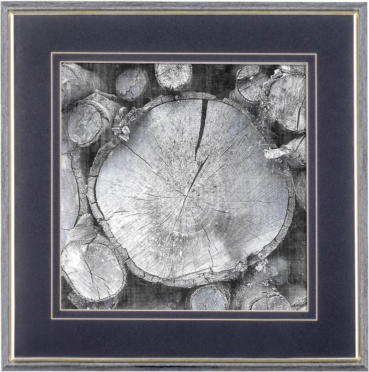 Logging Light VI by John Butler a Hand Embellished Textured Framed Photo Art Print Matted under Glas from Mercana - Luna Furniture
