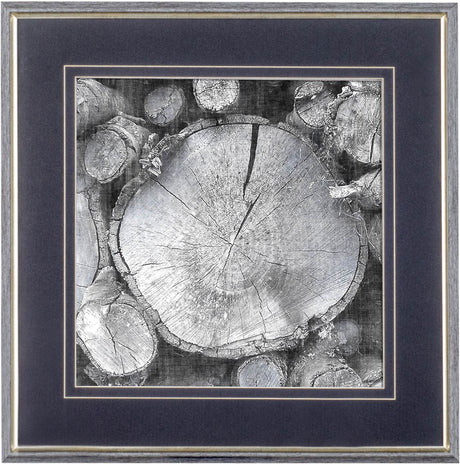 Logging Light VI by John Butler a Hand Embellished Textured Framed Photo Art Print Matted under Glas from Mercana - Luna Furniture