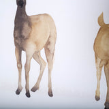 Deer Line I by Grace Popp a Framed Art Print Matted under Glass from Mercana - Luna Furniture