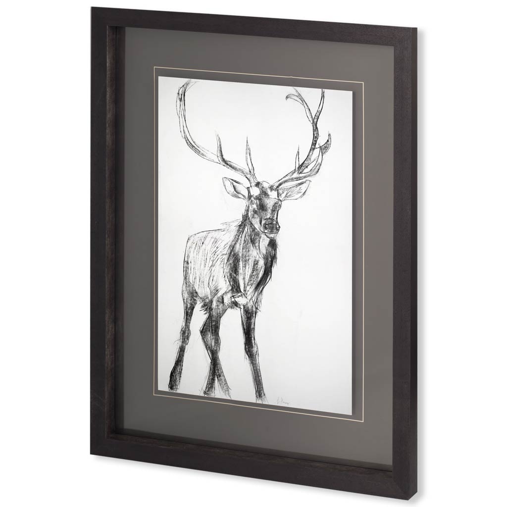 Young Elk by Harvey, Brenna a Framed Art Print Matted under Glass from Mercana - Luna Furniture