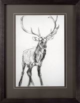 Young Elk by Harvey, Brenna a Framed Art Print Matted under Glass from Mercana - Luna Furniture
