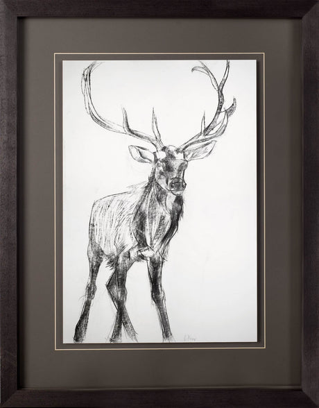 Young Elk by Harvey, Brenna a Framed Art Print Matted under Glass from Mercana - Luna Furniture
