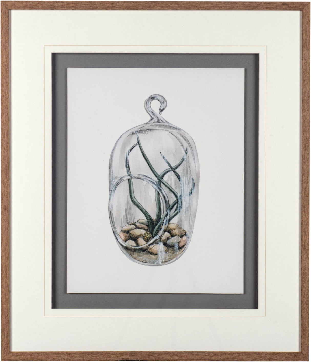Air Plant 1 by Harvey, Brenna a Framed Art Print Matted under Glass from Mercana - Luna Furniture