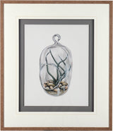 Air Plant 1 by Harvey, Brenna a Framed Art Print Matted under Glass from Mercana - Luna Furniture