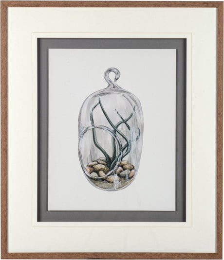 Air Plant 1 by Harvey, Brenna a Framed Art Print Matted under Glass from Mercana - Luna Furniture