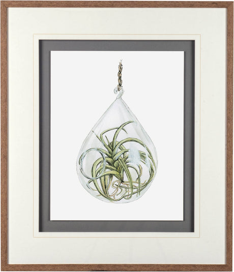 Air Plant 3 by Harvey, Brenna a Framed Art Print Matted under Glass from Mercana - Luna Furniture