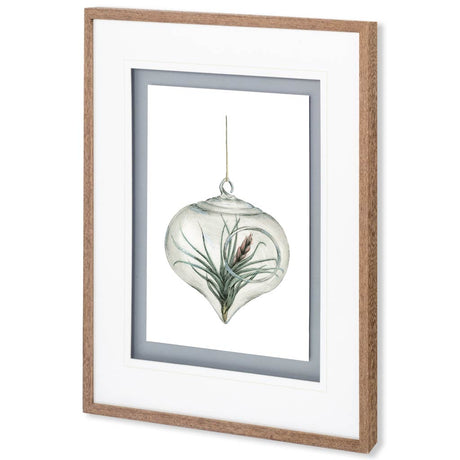 Air Plant 4 by Harvey, Brenna a Framed Art Print Matted under Glass from Mercana - Luna Furniture