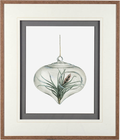Air Plant 4 by Harvey, Brenna a Framed Art Print Matted under Glass from Mercana - Luna Furniture