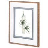 Air Plant 5 by Harvey, Brenna a Framed Art Print Matted under Glass from Mercana - Luna Furniture