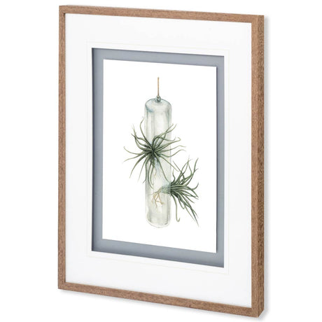Air Plant 5 by Harvey, Brenna a Framed Art Print Matted under Glass from Mercana - Luna Furniture