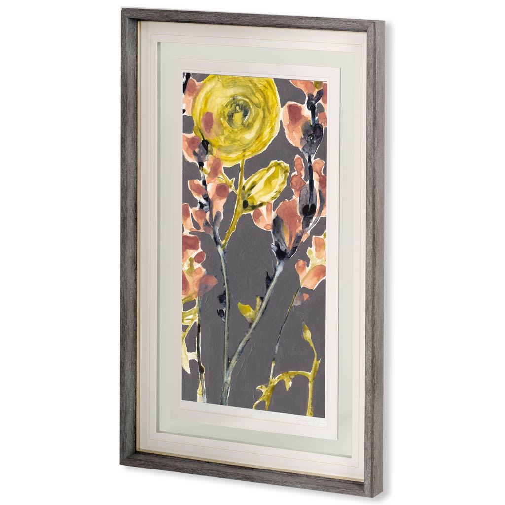 Anemone & Coral II by Jennifer Goldberger a Framed Art Print Matted under Glass from Mercana - Luna Furniture