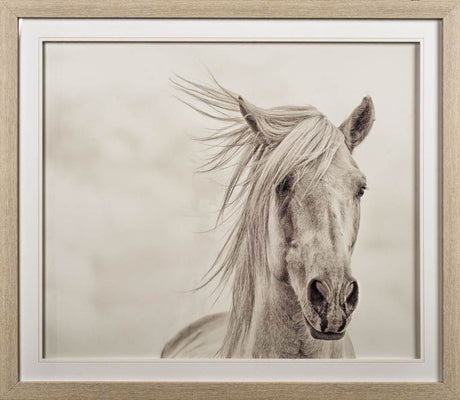 Custom Wind Blown Mane I (MC) by PHBurchett a Framed Photo Art Print Matted under Glass from Mercana - Luna Furniture