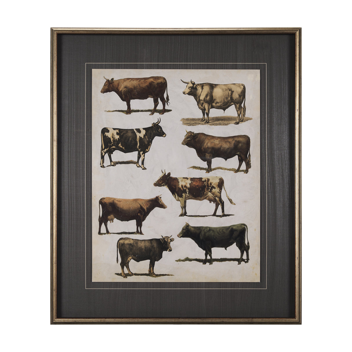 Antique Cow Chart by Mercana Studio a Framed Art Print Matted under Glass from Mercana - Luna Furniture