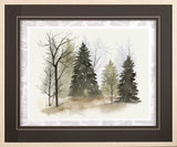 In the Mist II by Grace Popp a Framed Art Print Matted under Glass from Mercana - Luna Furniture