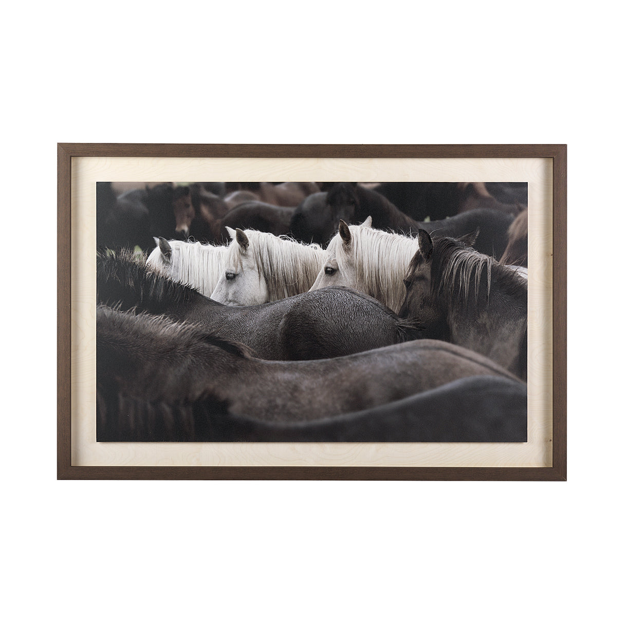 Custom White Horses (MC) by PH Burchett a Hand Embelished Textured Framed Photo Art Decograph from Mercana - Luna Furniture