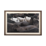 Custom White Horses (MC) by PH Burchett a Hand Embelished Textured Framed Photo Art Decograph from Mercana - Luna Furniture