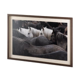 Custom White Horses (MC) by PH Burchett a Hand Embelished Textured Framed Photo Art Decograph from Mercana - Luna Furniture