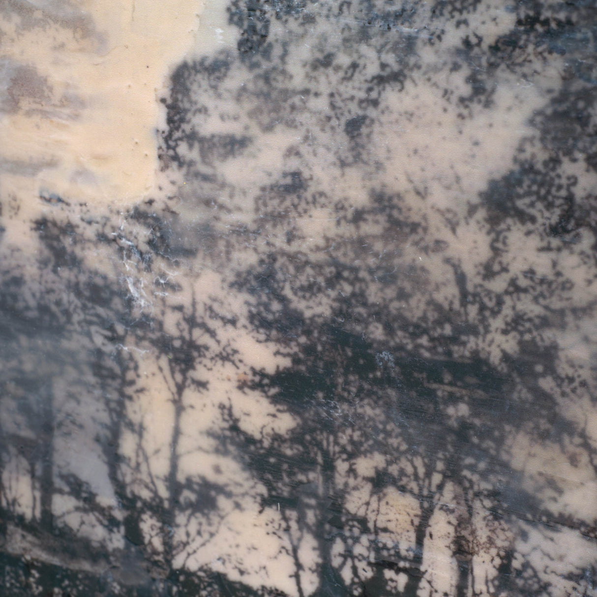 66 by Jennifer Goldberger a Framed Art Print Matted under Glass from Mercana - Luna Furniture