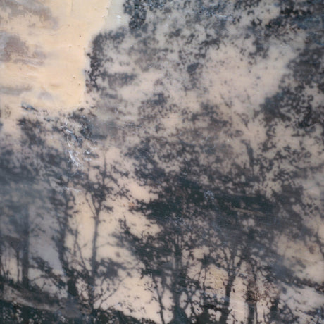 66 by Jennifer Goldberger a Framed Art Print Matted under Glass from Mercana - Luna Furniture