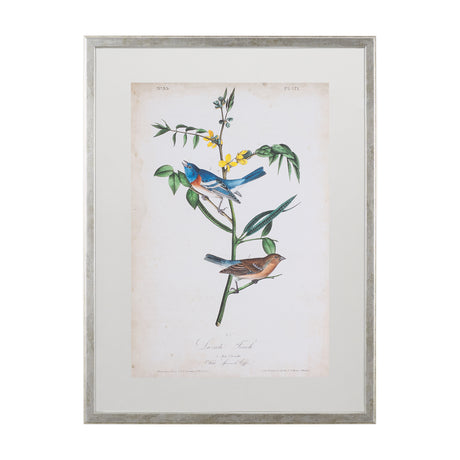 Delicate Bird and Botanical IV by John James Audubon a Framed Art Print Matted under Glass from Mercana - Luna Furniture