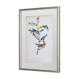 Delicate Bird and Botanical IV by John James Audubon a Framed Art Print Matted under Glass from Mercana - Luna Furniture