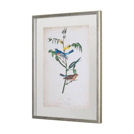 Delicate Bird and Botanical IV by John James Audubon a Framed Art Print Matted under Glass from Mercana - Luna Furniture