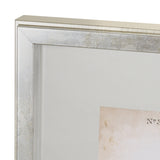 Delicate Bird and Botanical IV by John James Audubon a Framed Art Print Matted under Glass from Mercana - Luna Furniture